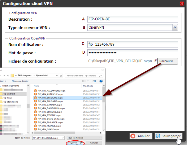 Complétez le formulaire avec vos identifiants FIP